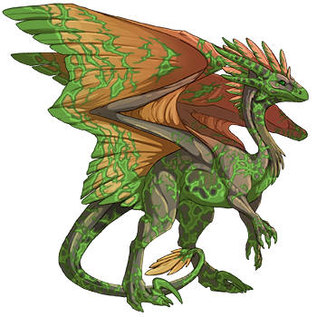 Unnamed dragon