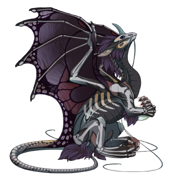 Unnamed dragon