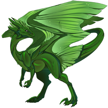 Unnamed dragon