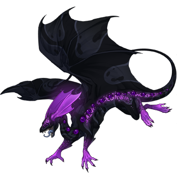 Unnamed dragon