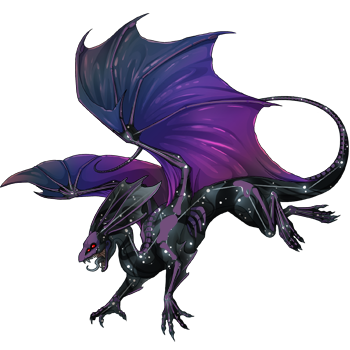 Unnamed dragon