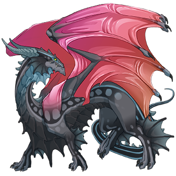 Unnamed dragon