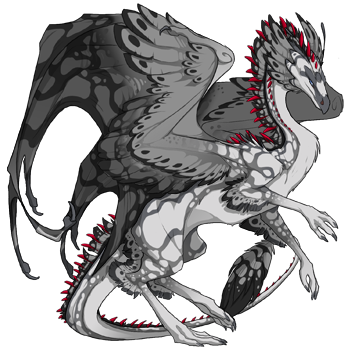 Unnamed dragon