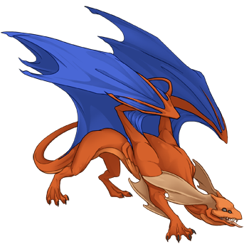 Unnamed dragon