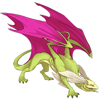 Unnamed dragon