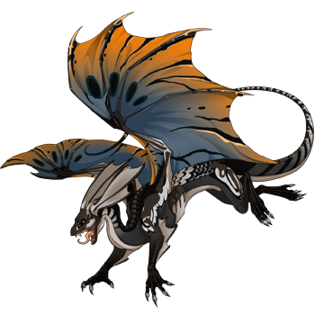 Unnamed dragon