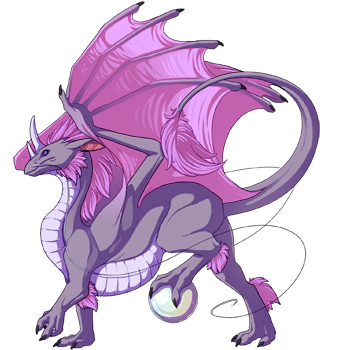 Unnamed dragon