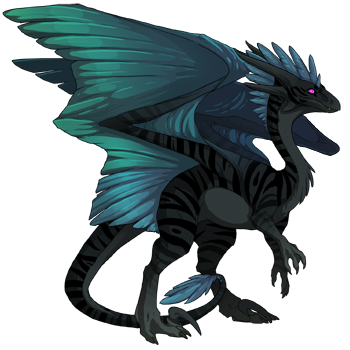 Unnamed dragon