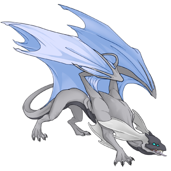 Unnamed dragon