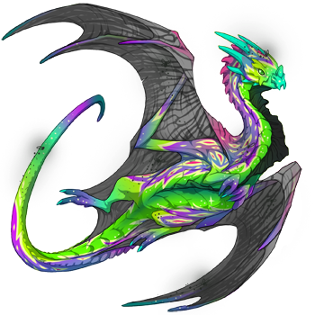 Unnamed dragon