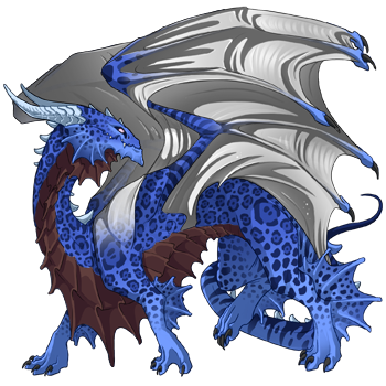 Unnamed dragon