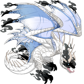 Unnamed dragon