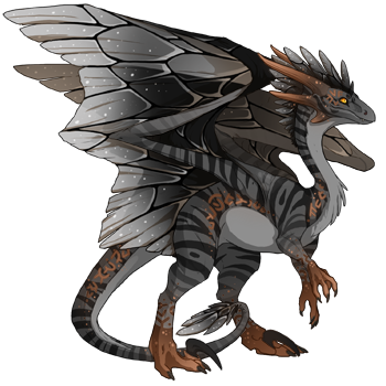 Unnamed dragon