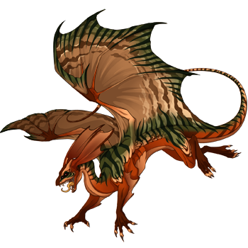 Unnamed dragon