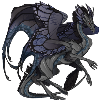 Unnamed dragon