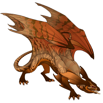 Unnamed dragon