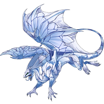 Unnamed dragon