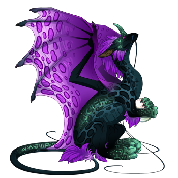 Unnamed dragon