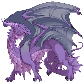 Unnamed dragon