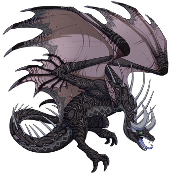 Unnamed dragon