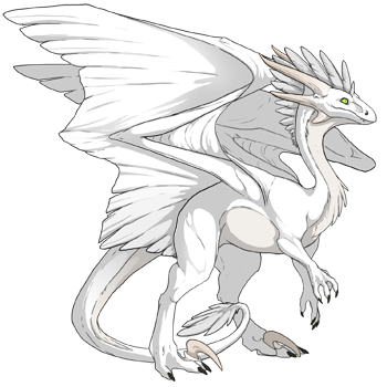 Unnamed dragon