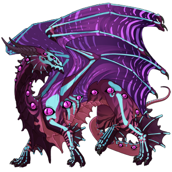 Unnamed dragon