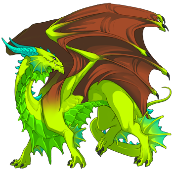 Unnamed dragon