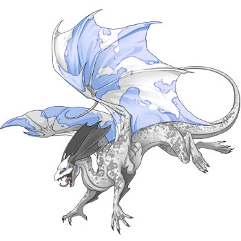 Unnamed dragon