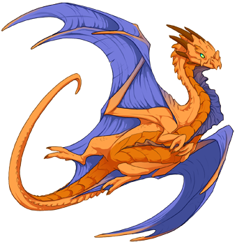 Unnamed dragon