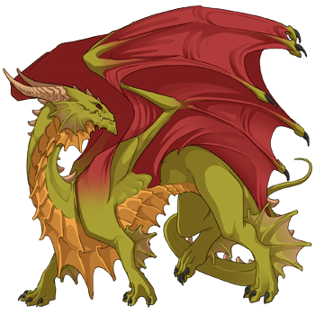 Unnamed dragon