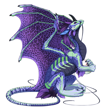 Unnamed dragon