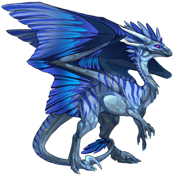 Unnamed dragon