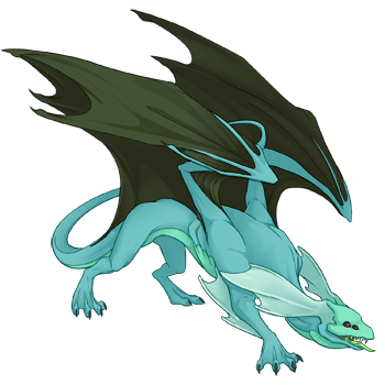 Unnamed dragon