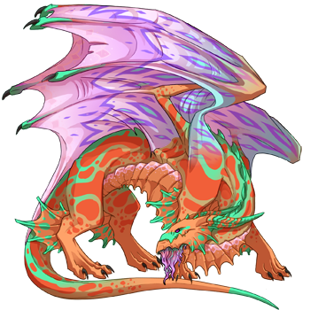 Unnamed dragon