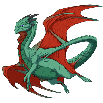 Unnamed dragon