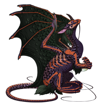 Unnamed dragon