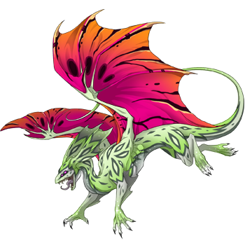 Unnamed dragon