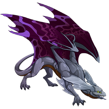 Unnamed dragon