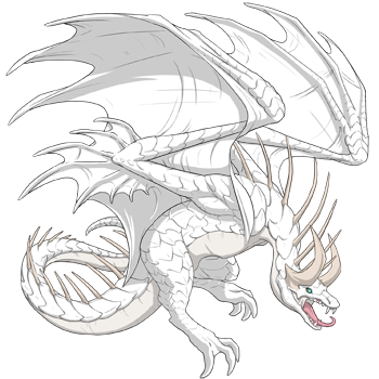 Unnamed dragon