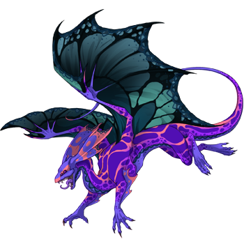 Unnamed dragon