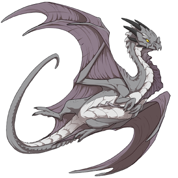 Unnamed dragon