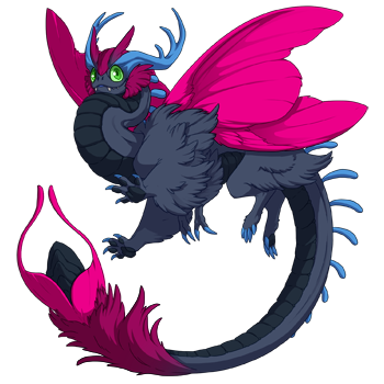 Unnamed dragon