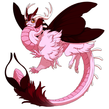 Unnamed dragon