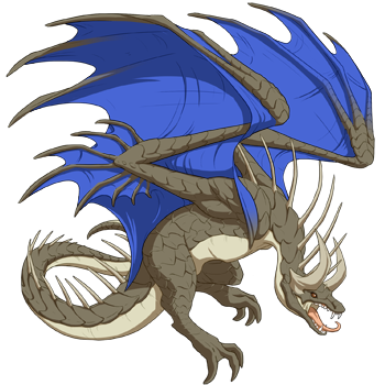 Unnamed dragon