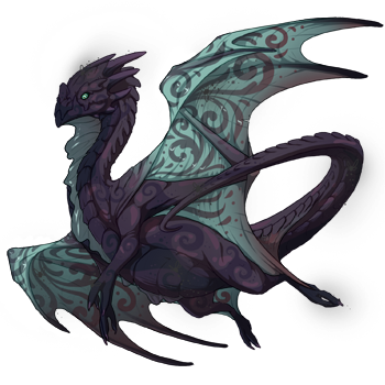 Unnamed dragon