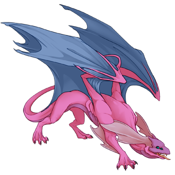 Unnamed dragon