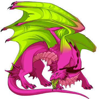 Unnamed dragon