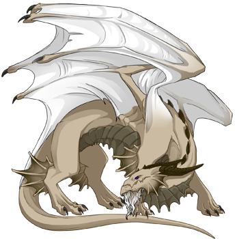 Unnamed dragon