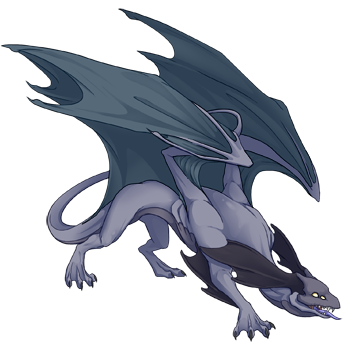 Unnamed dragon