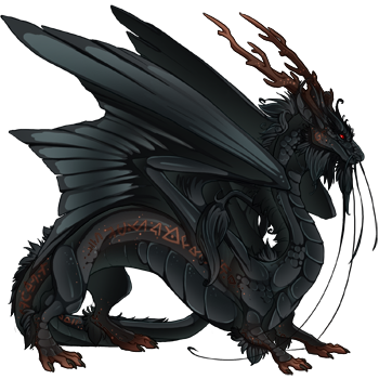 Unnamed dragon